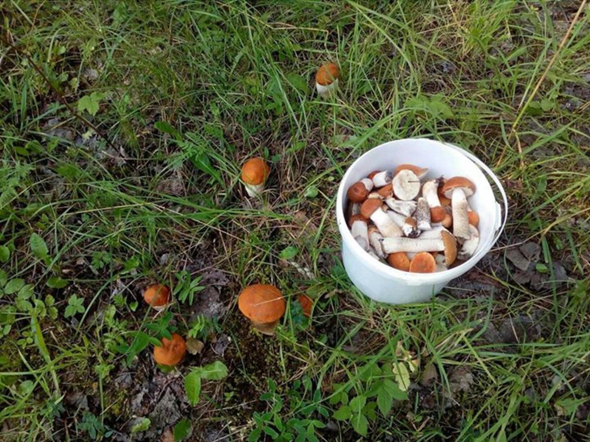 Agroturystyka A&G Dubeninki Eksteriør billede